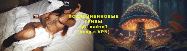 дмт Армянск