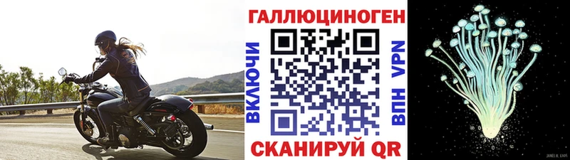 Псилоцибиновые грибы ЛСД  Купить  Невель 